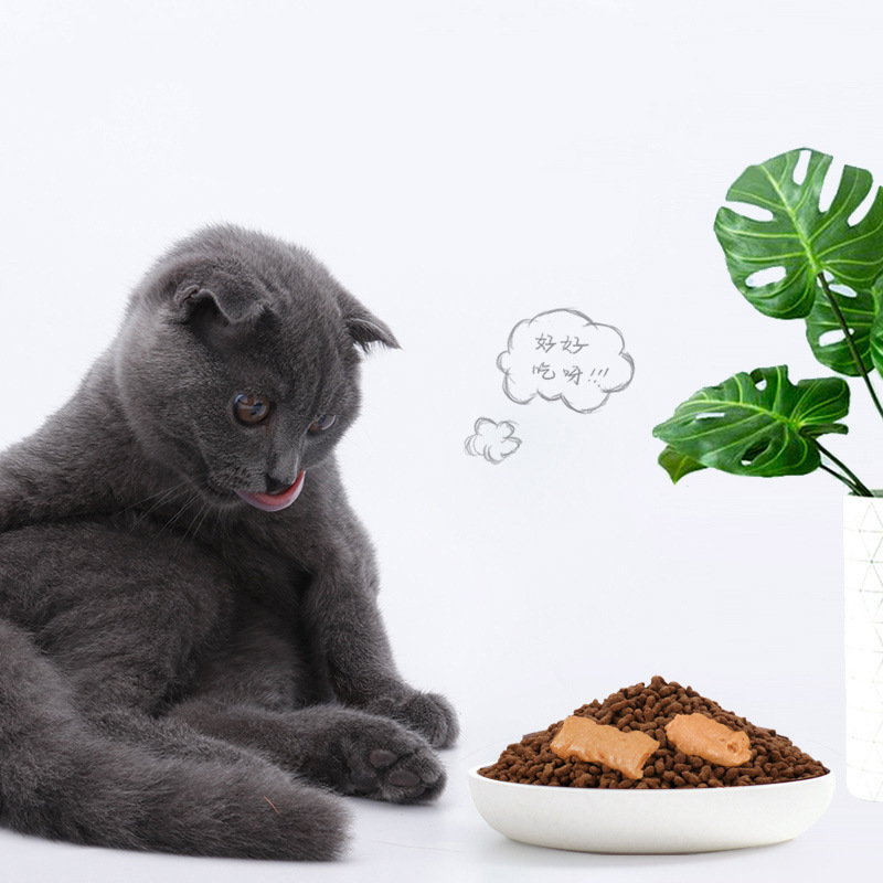 猫条零食猫咪零食鲜流质湿粮贴牌OEM/ODM