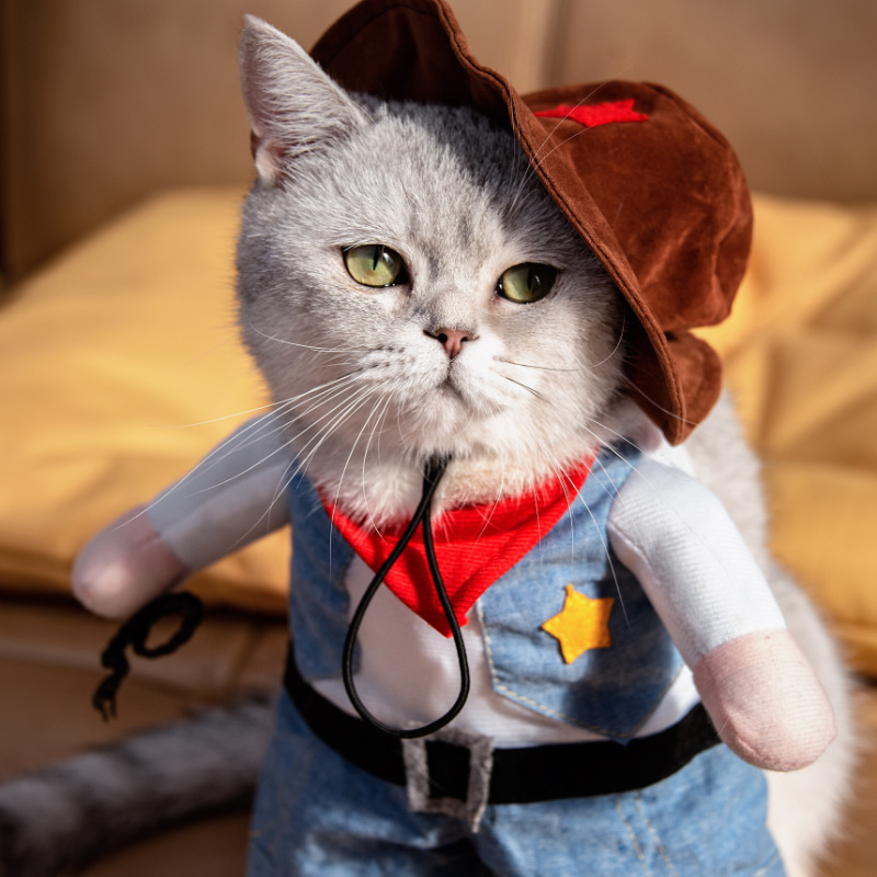 西部牛仔猫咪衣服贴牌定制代加工