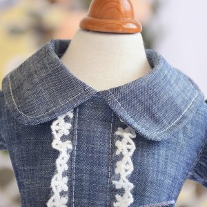 狗狗衣服春夏公主裙泰迪衣服蝴蝶结裙子宠物衣服春夏新款裙子OEM/ODM代加工