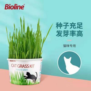 宠物食品 猫草OEM代加工