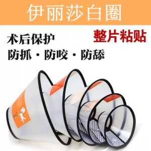 伊丽莎白圈狗狗猫项圈可OEM/ODM代工