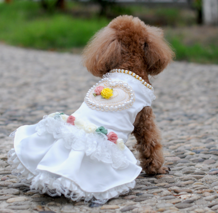芭菲宠家宠物狗衣服婚纱礼服珍珠爱心裙子贴牌