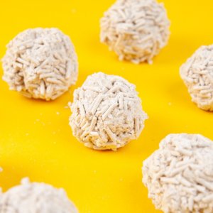 大连爱咪宝宠物用品有限公司