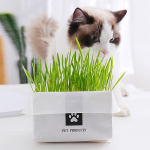 宠物猫咪零食OEM/ODM代加工