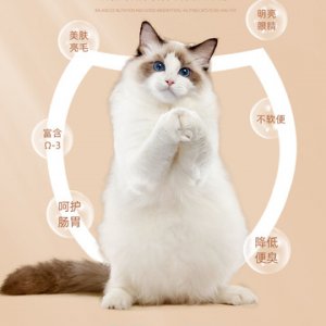 三易全阶段猫粮OEM/ODM代加工