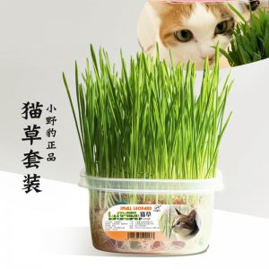 猫草猫零食吐毛球OEM/ODM代加工