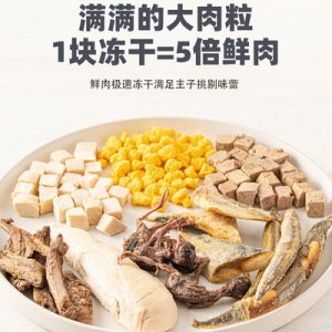 广州振健生物科技有限责任公司
