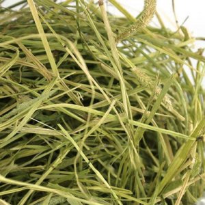 提摩西草干草贴牌OEM/ODM