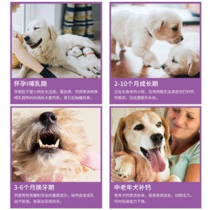 犬用钙片750片贴牌OEM/ODM