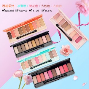 拉美拉10色眼影OEM/ODM代加工