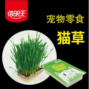 手工猫零食OEM/ODM定制代加工