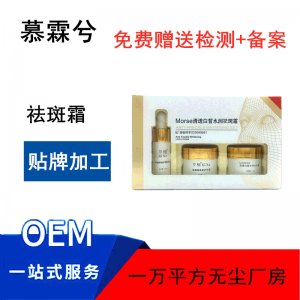 祛斑霜套装 代加工贴牌OEM/ODM
