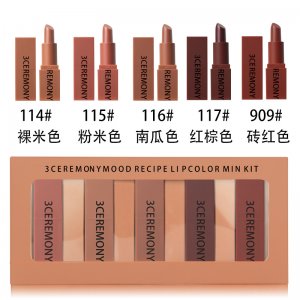 不沾杯六色口红贴牌OEM/ODM