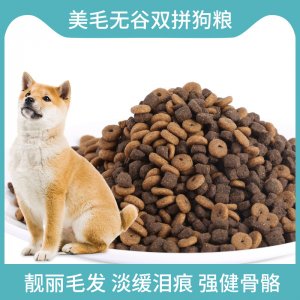 山东莱德宠物用品有限公司