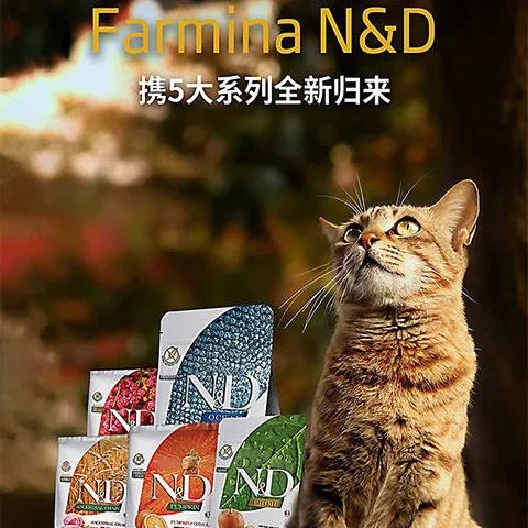 甜橙无谷成幼猫粮贴牌OEM/ODM