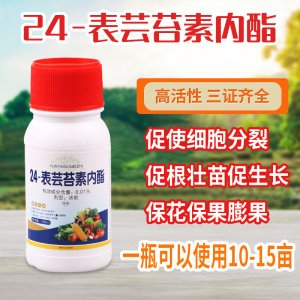 芸苔素内酯水剂0.01%植物生长调节剂贴牌OEM/ODM
