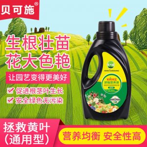 植物花卉营养液 花肥料贴牌OEM/ODM
