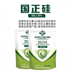 山东国正农业发展有限公司