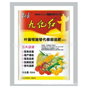 山东国正农业发展有限公司