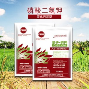山東國正農業發展有限公司