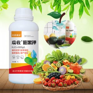 瑞收 膨果钾OEM/ODM代加工