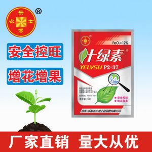 叶绿素可OEM/ODM代工