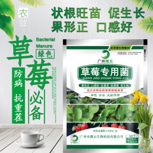 草莓专用菌代加工贴牌OEM/ODM