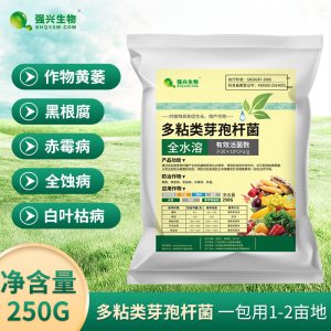 全水溶多粘类芽孢杆菌贴牌OEM/ODM