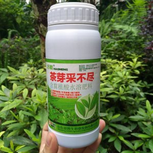 茶叶催芽剂OEM代加工