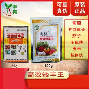 雨林 超级矮丰王可OEM/ODM代工