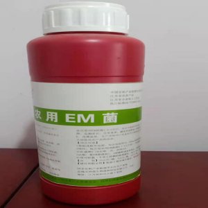 水谷欣种植业农用EM菌OEM代加工