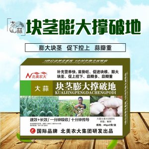 大蒜块茎膨大撑破地可OEM/ODM代工