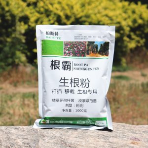 根霸快速生根粉贴牌OEM/ODM
