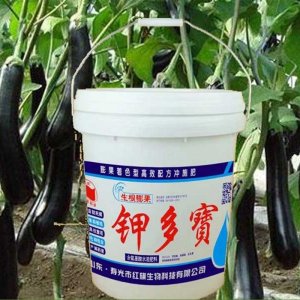 寿光市红旗生物科技有限公司