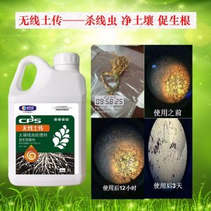 无线土传 根结线虫特效药代加工贴牌OEM/ODM