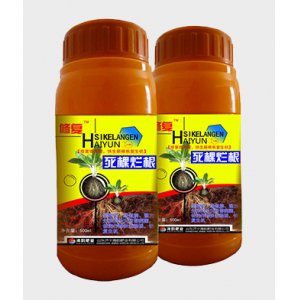 死棵烂根贴牌定制代加工