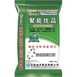 山东旭洋肥业有限公司