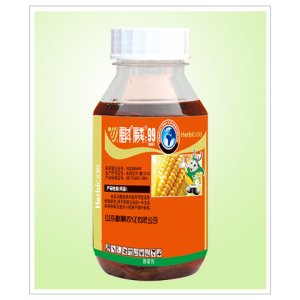 麒麟99代加工贴牌OEM/ODM