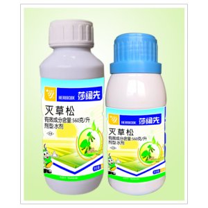 56%莎阔先OEM/ODM代加工
