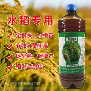 水稻微生物菌剂贴牌OEM/ODM