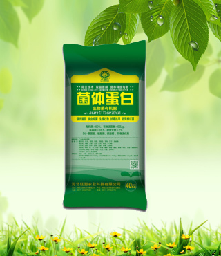 菌体蛋白OEM代加工