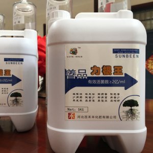 力根王贴牌OEM/ODM