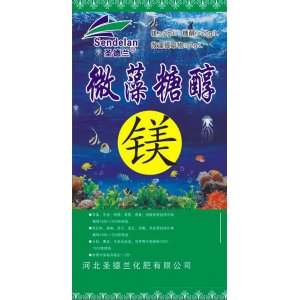 微藻糖醇 镁贴牌OEM/ODM
