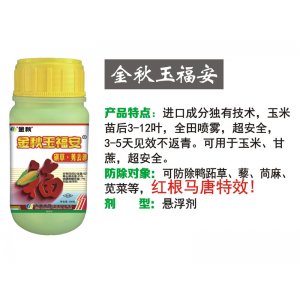 金秋玉福安贴牌定制代加工