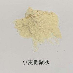 小麦低聚肽粉贴牌定制代加工
