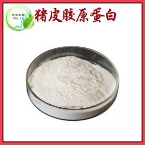 豬皮膠原蛋白貼牌定制代加工
