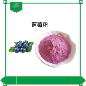 蓝莓果粉OEM/ODM定制代加工