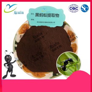 黑蚂蚁提取物贴牌定制代加工