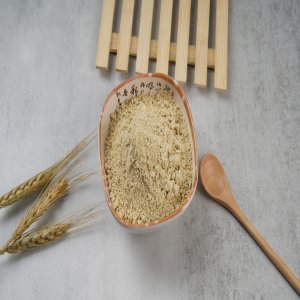 小麦胚芽粉500克粗粮粉OEM代加工
