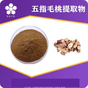 五指毛桃提取物贴牌定制代加工